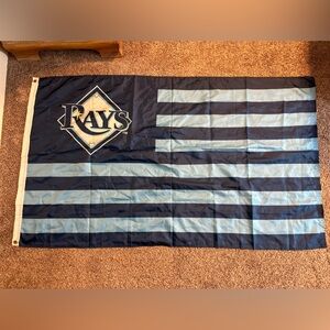 Tampa Bay Rays Flag